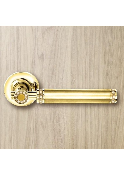 Kapı Kolu Taşlı Saten Krom 303T Wc fiyatları