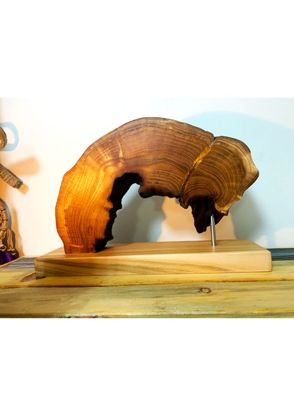 El Yapımı Doğal Kiraz Ağacı Magnetli Bıçaklık | Rustik Mutfak Dekoru | Organik Form ve Güçlü Neodyum Mıknatıs modelleri