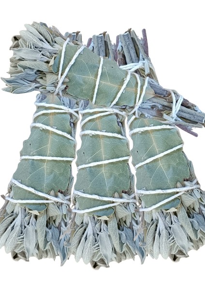 Doğal Defne-Adaçayı Tütsüsü modelleri