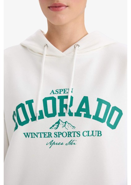 Oversize Geniş Kalıp Kapüşonlu Baskılı Sweatshirt F6089AX25AU indirimleri