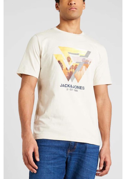 Erkek T-Shirt 12247798 fiyatları