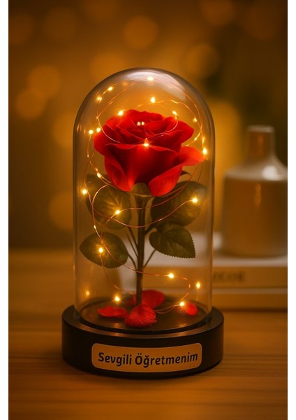 Fanusta LED Işıklı Sevgili Öğretmenim Temalı Biblo öğretmenler Gününe Anlam Katan Özel Hediye 20 cm fiyatları