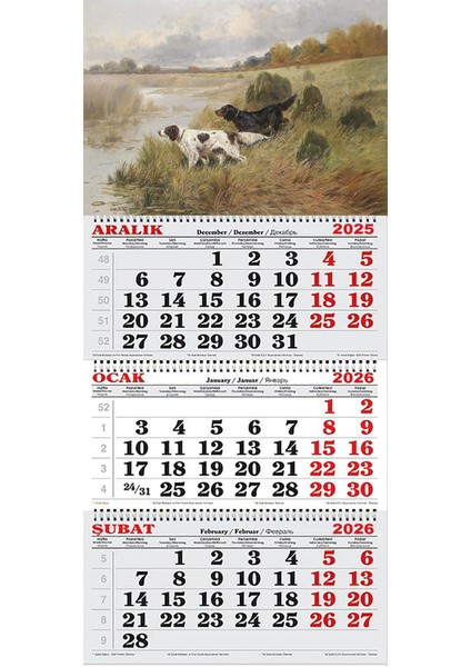 2026 Yılı Gemici Takvimi-Sazlıktaki Köpekler