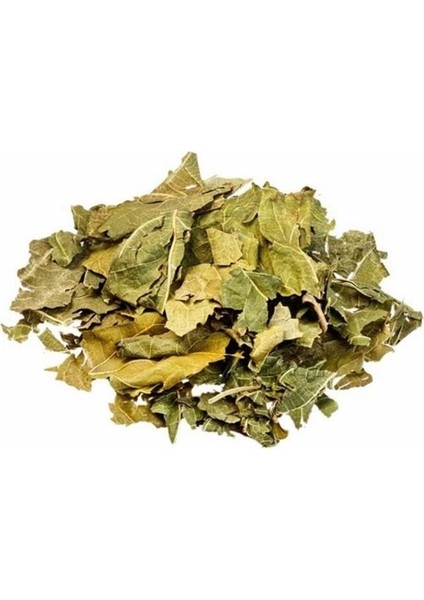 Dut Yaprağı 500 gr