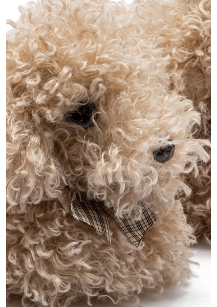 Digi Kadın, Garson Boy Hayvanlı Panduf Bej 36/41 modelleri