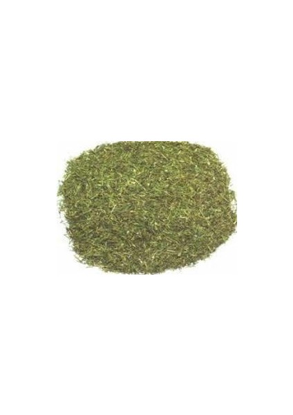 Dereotu Kurusu Yaprak Mısır Menşei 250 gr