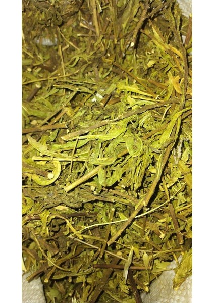 Yapışkan Andız Otu 500 gr