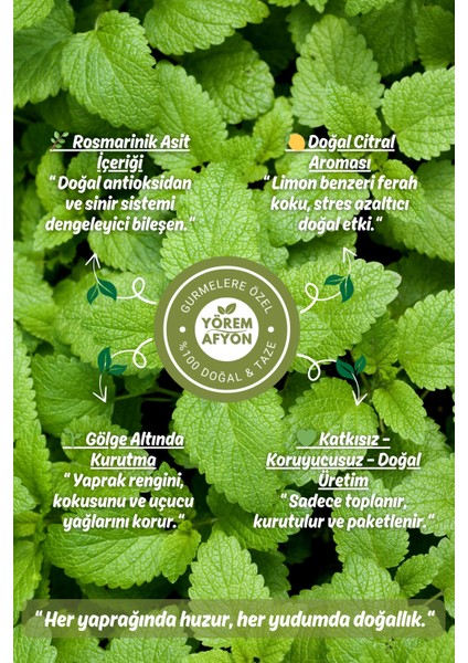 Yörem Afyon Meşhur Muğla Yeni Mahsul Güneşte Kurutulmuş Yaprak Limonlu Melisa Arı Otu | 30GR. fırsatları