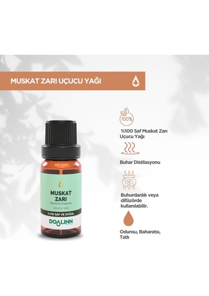 Muskat Zarı Uçucu Yağı 10 ml
