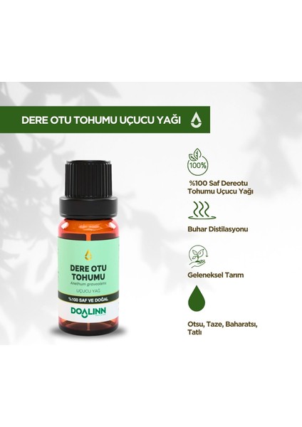 Dere Otu Tohumu Uçucu Yağı 10 ml