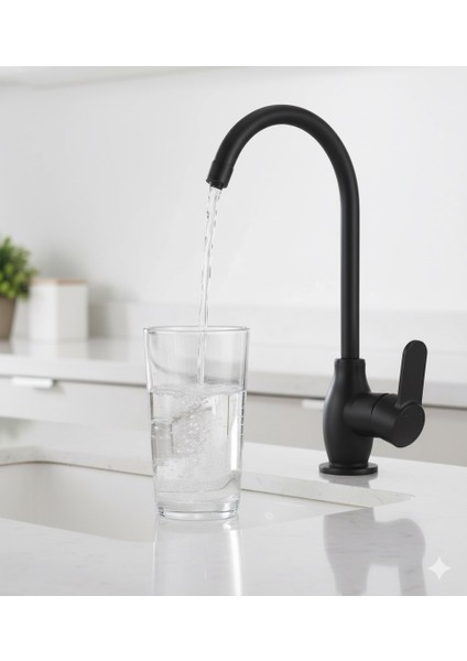 Rudis Pirinç Gövdeli Mat Siyah Içme Suyu Bataryası