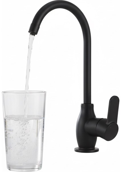 Rudis Pirinç Gövdeli Mat Siyah Içme Suyu Bataryası fiyatları