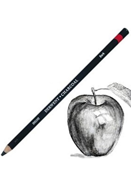 Kömür Füzen Kalem Dark Tebeşirimsi Yapı ile Portre Çalışmaları için Uygun modelleri