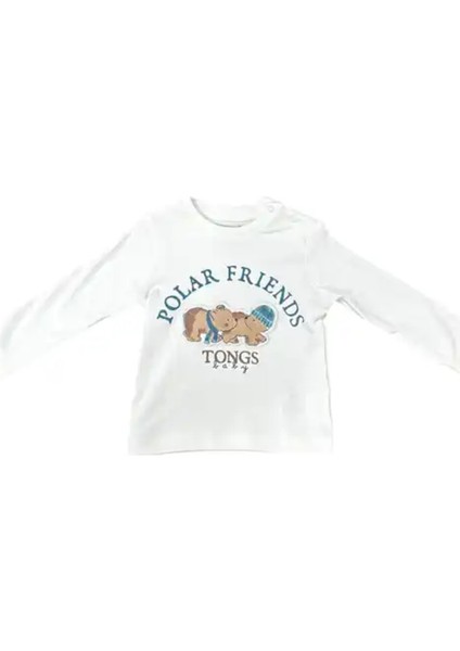 Ice Bears 3 Lü Takım