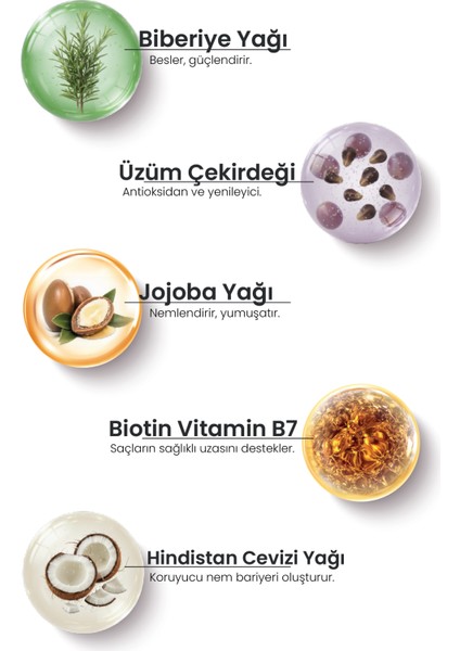 Saf Biberiye Yağı – Saç, Cilt ve Masaj İçin Çok Amaçlı Bitkisel Yağ – Dökülme ve Kas Ağrılarına Etkili-50ML modelleri