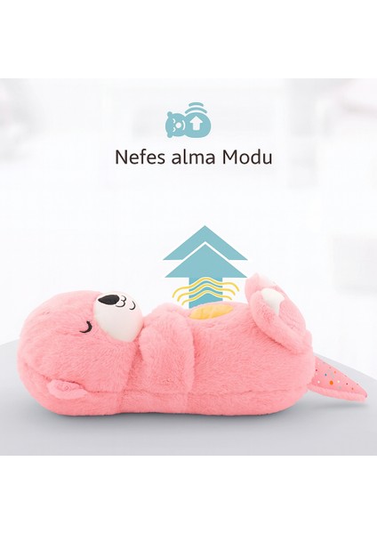 Nefes Alıp Veren Su Samuru Uyku Arkadaşım Erken Ögrenme