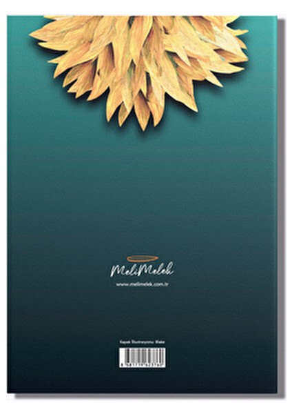 Sun Flower Planlama Defteri A5 80 Sayfa Çok Renkli Karton Kapaklı fırsatları