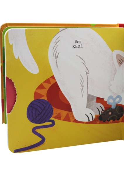 Tavşan’nın Kitabını Kim Yedi? modelleri