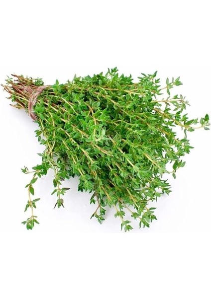 (Çoklu Tohum) - 3 Gram