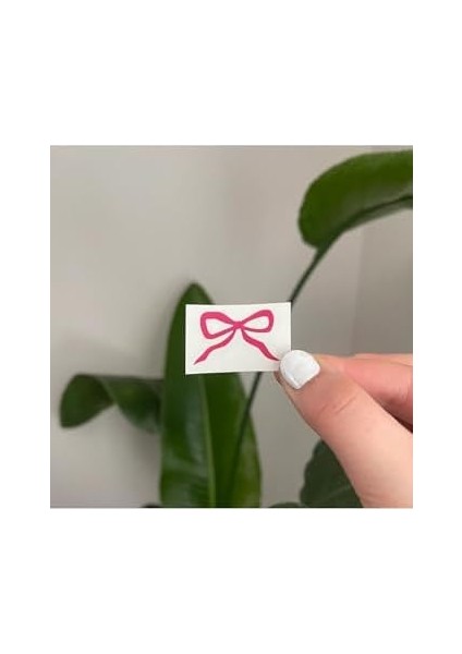 Ayna Sticker, Araba Sticker modelleri