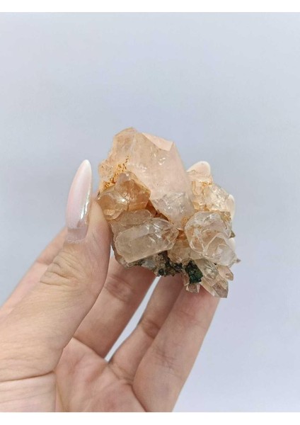 Koleksiyonluk Epidotlu Kuvars