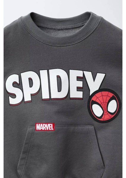 Örümcek Adam Spidey 3 Iplik Erkek Çocuk Alt Üst Takım Süper Kalite Fırçalı Kumaş Kanguru Cep Sırt Baskı Detay fiyatları