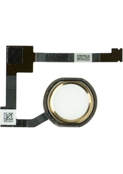 Uyumlu Ipad Mini 4 A1538 A1550 Home Tuş Flex Gold