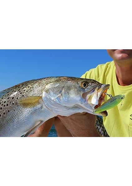 3D Inshore Twitchbait Slow Sinking 3 1/2 Zoll Lipless Crankbait indirimleri