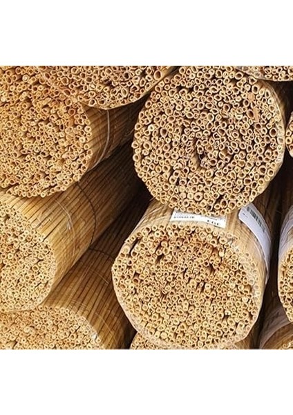 70CMX5M Hasır Kamış Çit fiyatları