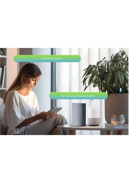 Uygulama Uzaktan Kumanda Sıcaklığı Nem Sensörü Dedektörü Doodle Bluetooth Akıllı Ev Toprak Sıcaklığı ve Nem Ölçer (Yurt Dışından) fiyatları