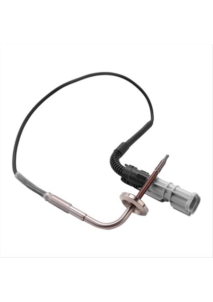 Man Için Egzoz Sıcaklık Sensörü Tga Tgl Tgm Tgs 81274210263 08035200A 81274210252 2V5261583 (Yurt Dışından) fiyatları