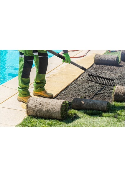 17 Çelik Diş Metal Kafa Tırmık Toprak Scarriator Paslanmaz Çelik Saplı Yaprakları Toplamak ve Çimlerinizi Tesviye Etmek Için (Yurt Dışından) fırsatları