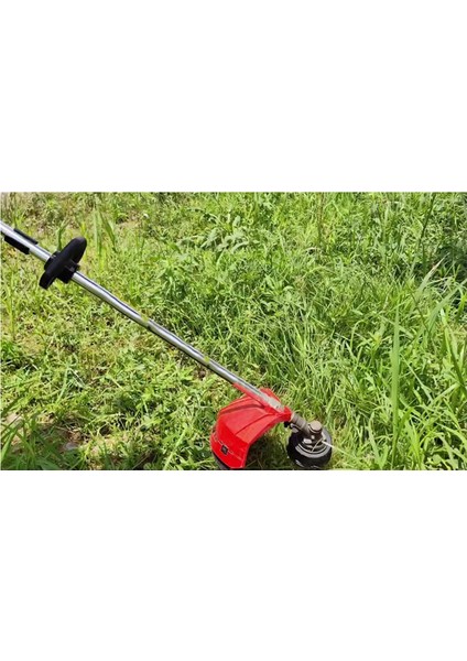 Basit ve Pratik Demir Disk Ayıklama Başı, Çim Biçme Makinesi, Çim Biçme Makinesi, Bahçe Aracı, Ayıklama Kafalarını Sökmeye Gerek Yok (Yurt Dışından) fırsatları