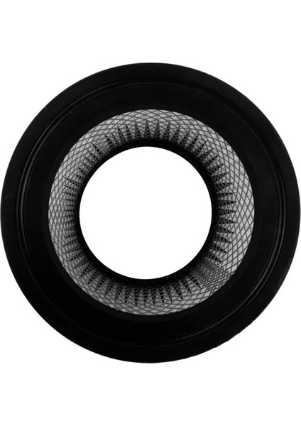 2pcs Vakf Için Vakum Filtresi Vac 90398 9039800 903-98-00 90399 Mağaza Vac 4 Galon ve Daha Az Yedek Parçalar Için (Yurt Dışından) fiyatları