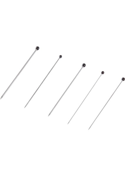 Paslanmaz Çelik Böcek Pimleri Kit Numune Entomoloji Pimleri Kelebek Koleksiyonları Iğneler Çeşidi Paketi (500 Parça, 5 Boyut) (Yurt Dışından)