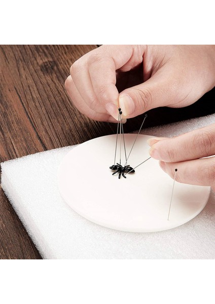 Paslanmaz Çelik Böcek Pimleri Kit Numune Entomoloji Pimleri Kelebek Koleksiyonları Iğneler Çeşidi Paketi (500 Parça, 5 Boyut) (Yurt Dışından) modelleri