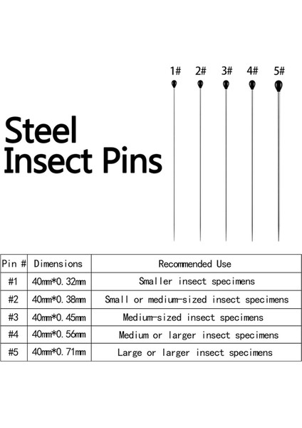 Paslanmaz Çelik Böcek Pimleri Kit Numune Entomoloji Pimleri Kelebek Koleksiyonları Iğneler Çeşidi Paketi (500 Parça, 5 Boyut) (Yurt Dışından) indirimleri
