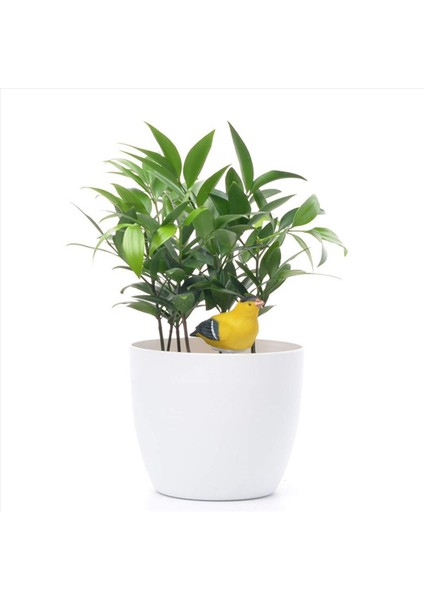 5x Toprak Nem Metre Sulama Alarm Kuş Tesisi Su Test Cihazı Higrometre Sensör Bahçecilik Aracı Kiti (Sarı) (Yurt Dışından) indirimleri