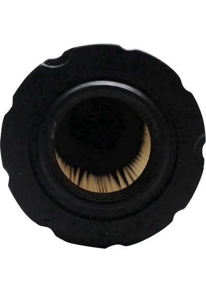 9pcs Değiştirme 594201 Briggs &amp; Stratton Için Hava Filtresi - Briggs &amp; Stratton ile Uyumlu 591334, 796031 (Yurt Dışından) indirimleri