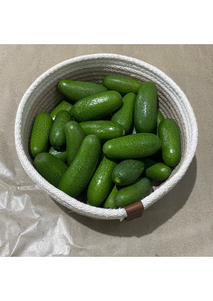 Baby Avokado Yerli Üreticiden - Dalından Taze ve Doğal fırsatları