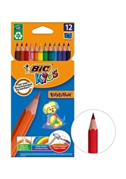 Kids Evolution Kuru Boya Kalemi 12'li Set Renkli ve Eğlenceli Çizim Deneyimi fiyatları