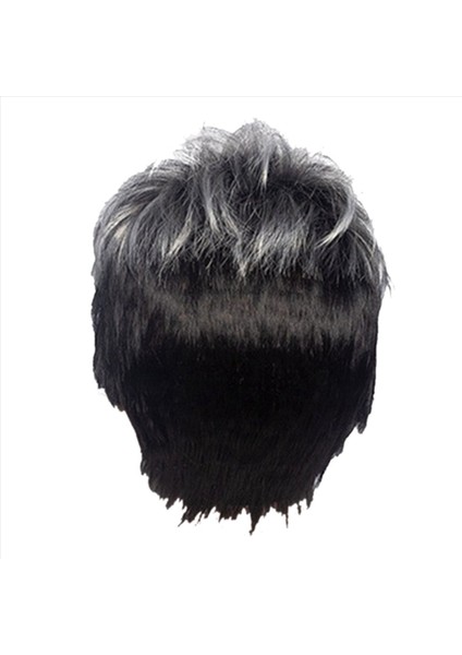 2x Erkekler Kısa Düz Peruk Ombre Gri Siyah Sentetik Peruk Erkek Saçları Için Gerçekçi Doğal Toupe Peruk (Yurt Dışından)