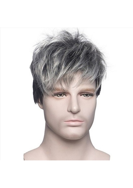 2x Erkekler Kısa Düz Peruk Ombre Gri Siyah Sentetik Peruk Erkek Saçları Için Gerçekçi Doğal Toupe Peruk (Yurt Dışından) fiyatları
