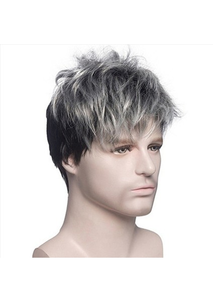 2x Erkekler Kısa Düz Peruk Ombre Gri Siyah Sentetik Peruk Erkek Saçları Için Gerçekçi Doğal Toupe Peruk (Yurt Dışından) modelleri