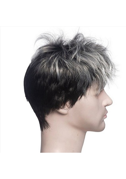 2x Erkekler Kısa Düz Peruk Ombre Gri Siyah Sentetik Peruk Erkek Saçları Için Gerçekçi Doğal Toupe Peruk (Yurt Dışından) fırsatları