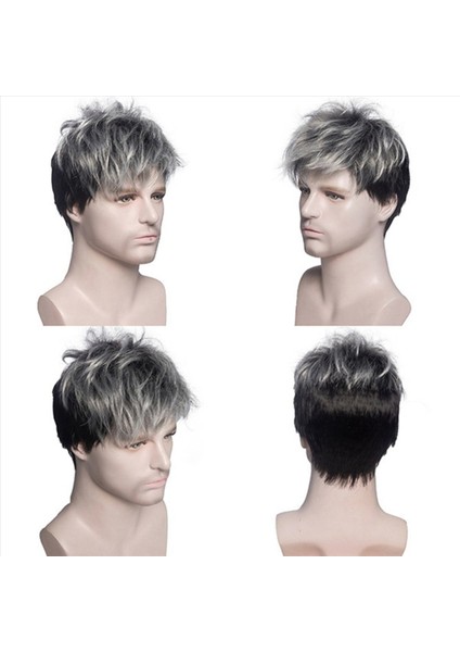 2x Erkekler Kısa Düz Peruk Ombre Gri Siyah Sentetik Peruk Erkek Saçları Için Gerçekçi Doğal Toupe Peruk (Yurt Dışından) indirimleri