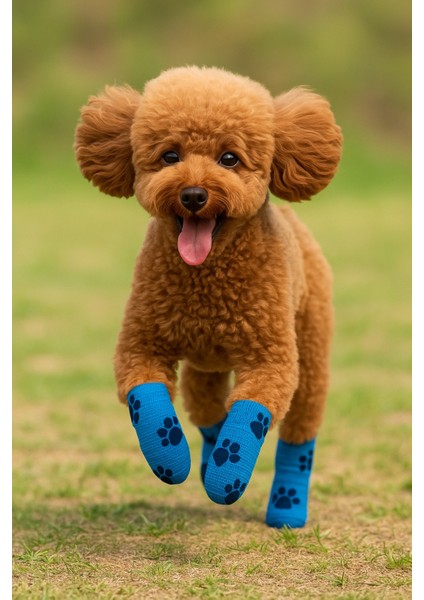 Pati Bandajı – Su Geçirmez, Kendinden Yapışan, Tüy Dostu Evcil Hayvan Bandajı fırsatları