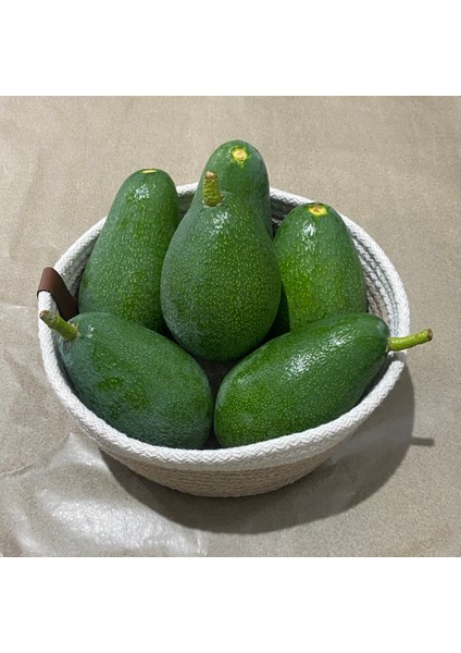 Avokado 250 gr Üzeri indirimleri