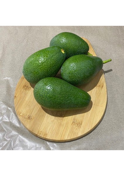 Avokado 250 gr Üzeri