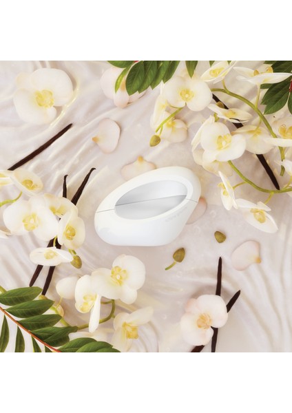 Mod Vanilla Eau De Parfum – 30 ml fiyatları